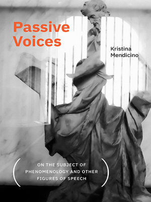 cover image of Passive Voices (On the Subject of Phenomenology and Other Figures of Speech)